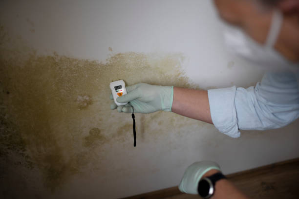 Best Water Damage Restoration  in Canton, OH