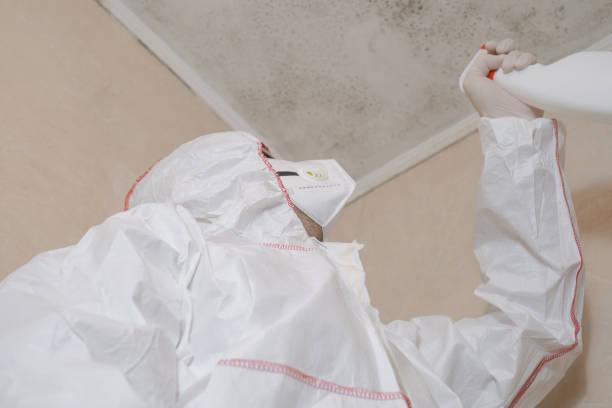Best Mold Removal Near Me  in Canton, OH