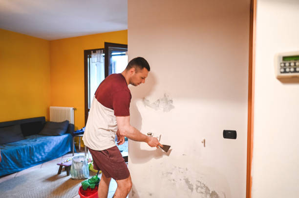 Best Certified Mold Removal  in Canton, OH