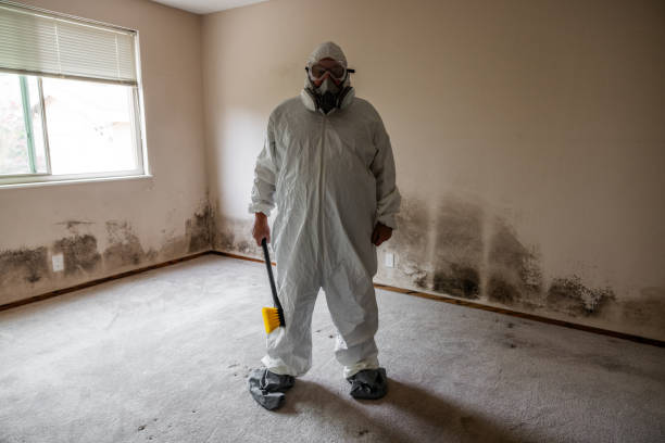 Best Certified Mold Removal  in Canton, OH